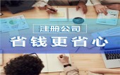 设立多家小微运输子公司享受税收优惠案例 
